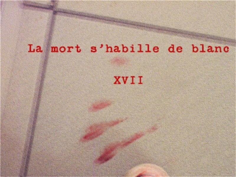 La_mort_shabille_de_blanc_XVII_01.JPG